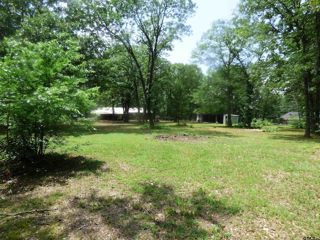 596 County Road 4218, Mount Pleasant, TX 75455 - photo 11