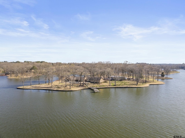 property view of water