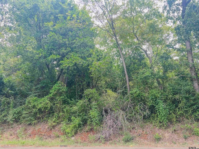 Listing photo 3 for TBD Martin Luther King Jr Blvd, Jacksonville TX 75766