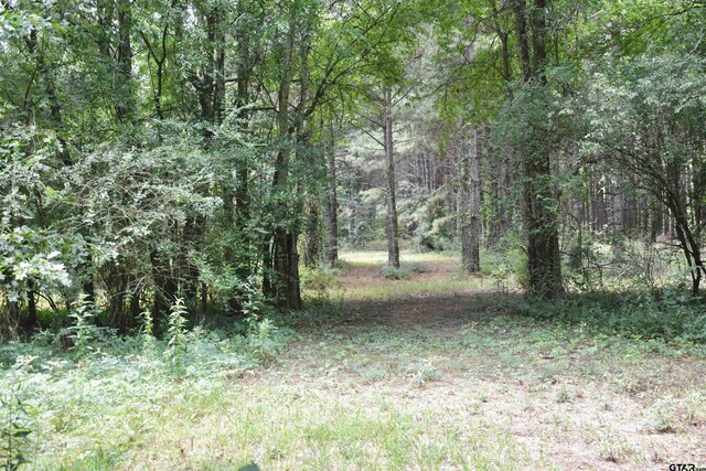 12545 Fm 968 W, Longview, TX 75602 - view of woods