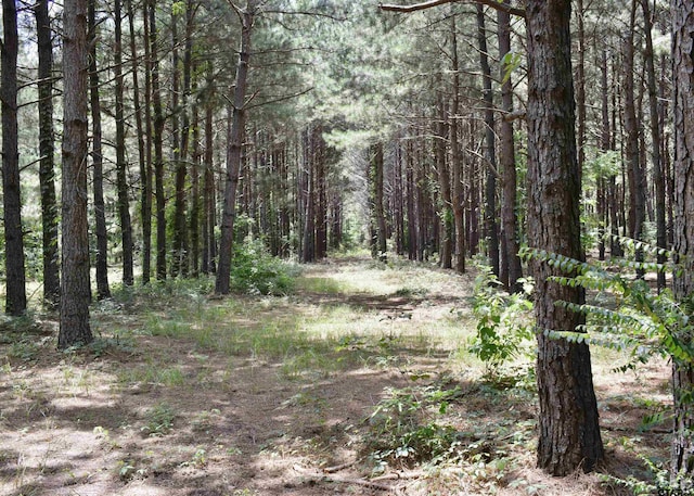 12545 Fm 968 W, Longview, TX 75602 - view of wooded area
