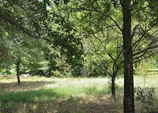 12545 Fm 968 W, Longview, TX 75602 - photo 33
