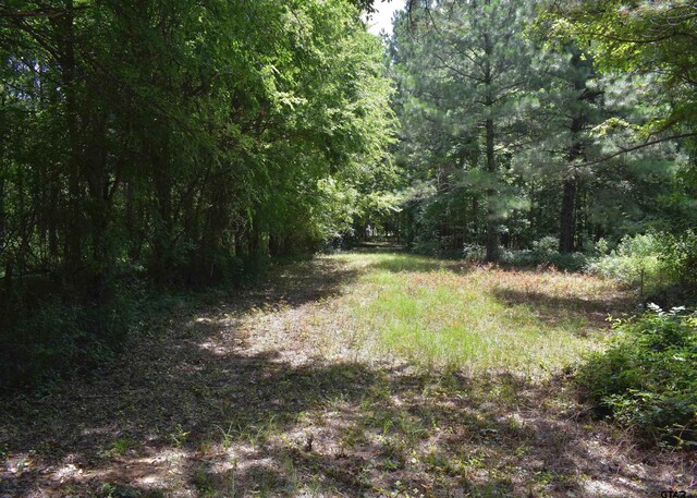 12545 Fm 968 W, Longview, TX 75602 - view of tree filled area