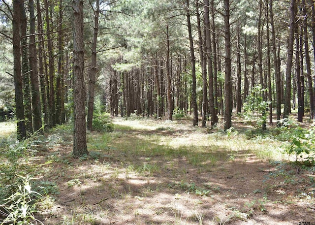 12545 Fm 968 W, Longview, TX 75602 - photo 39