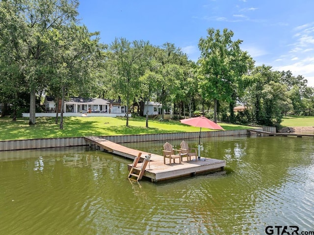 11020 Kevin Dr, Frankston, TX 75763 - dock with a water view, view of scattered trees, and a yard