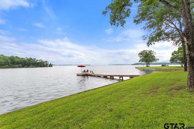 11020 Kevin Dr, Frankston, TX 75763 - dock area with a lawn and a water view