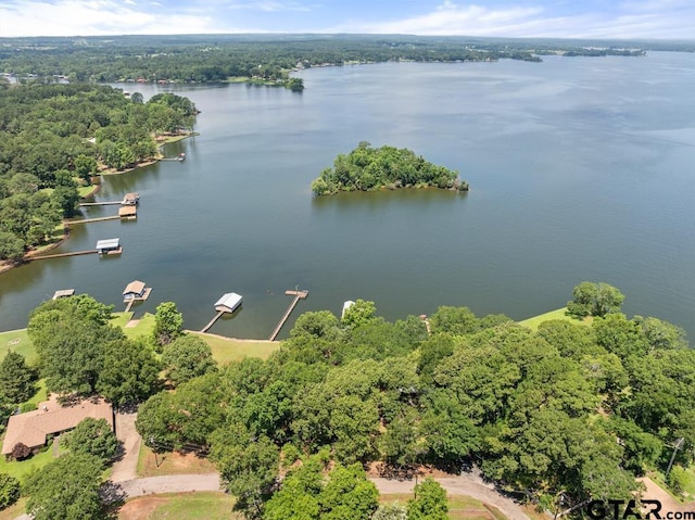 11020 Kevin Dr, Frankston, TX 75763 - drone / aerial view of a nearby body of water