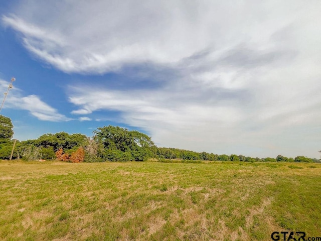 view of local wilderness featuring a rural view