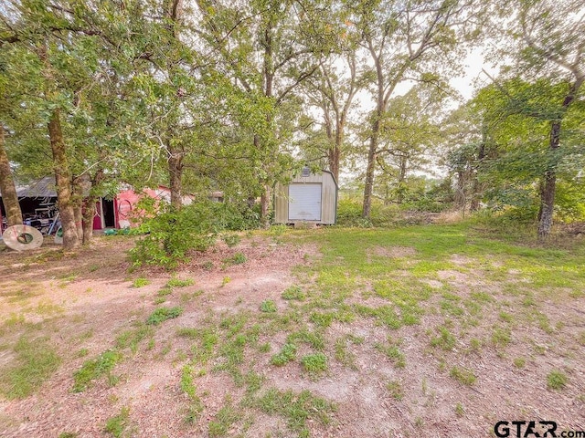 view of yard featuring a storage unit