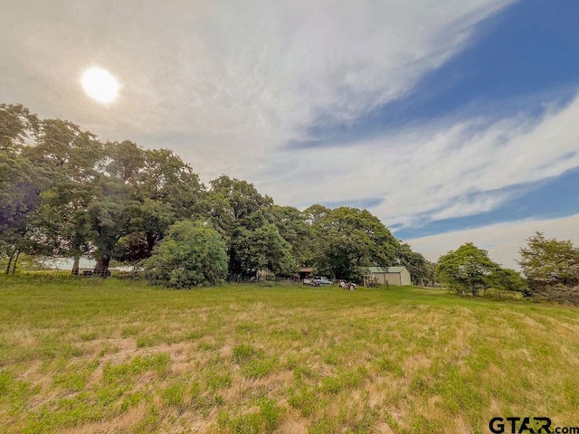 view of yard with a rural view