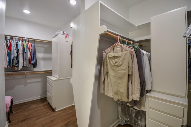 2222 Rana Park, Flint, TX 75762 - walk in closet with wood finished floors