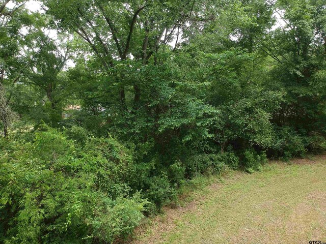 0 S Friou St, Jefferson, TX 75657 - photo 4