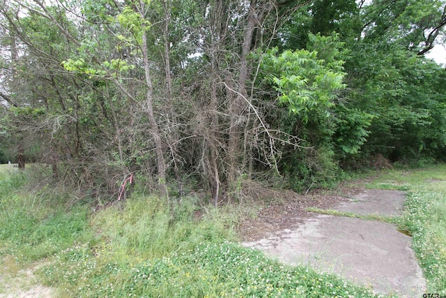 0 S Friou St, Jefferson, TX 75657 - photo 2