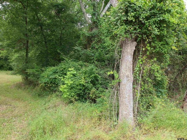 0 S Friou St, Jefferson, TX 75657 - photo 5