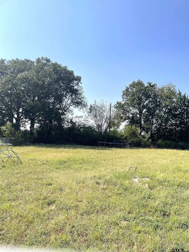 view of yard with a rural view