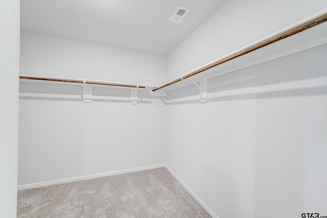 spacious closet with carpet flooring