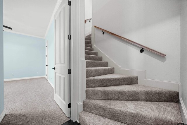 21882 Syrah Dr, Tyler, TX 75703 - stairs with baseboards, carpet flooring, and crown molding