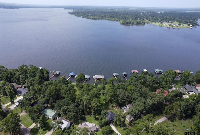 811 Janis, Bullard, TX 75757 - view of property location featuring a large body of water