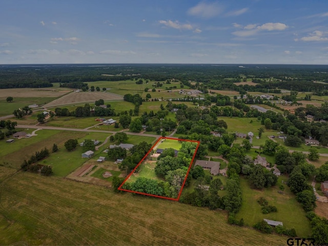 1108 Quitman, Pittsburg, TX 75686 - overview of rural landscape with property parcel outlined