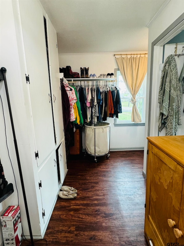 walk in closet featuring dark hardwood / wood-style floors