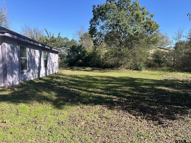 view of yard