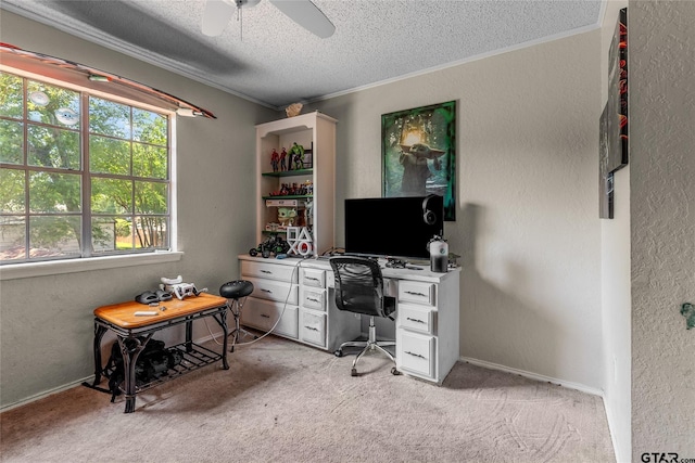 1304 Azalea Dr, Sulphur Springs, TX 75482 - home office with crown molding, a textured ceiling, light colored carpet, a ceiling fan, and a textured wall