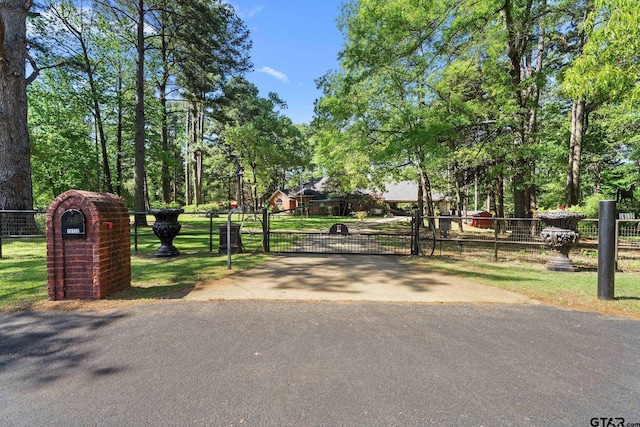 19132 Falls Creek Dr, Flint, TX 75762 - view of road featuring a gate, a gated entry, and aphalt driveway