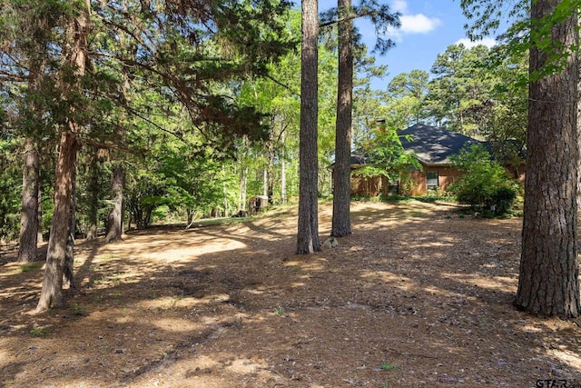 19132 Falls Creek Dr, Flint, TX 75762 - view of yard