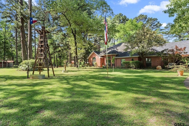 19132 Falls Creek Dr, Flint, TX 75762 - view of yard