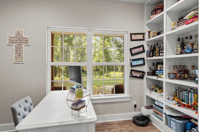 office space featuring hardwood / wood-style flooring and plenty of natural light