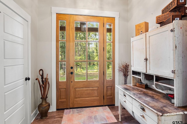 doorway featuring dark wood-type flooring and a healthy amount of sunlight