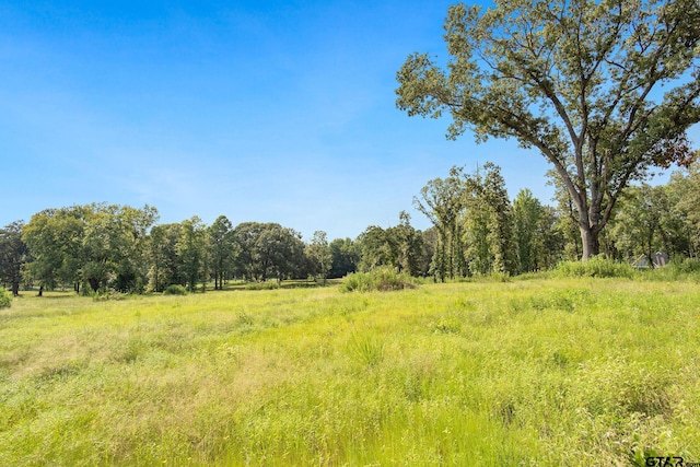 view of nature with a rural view