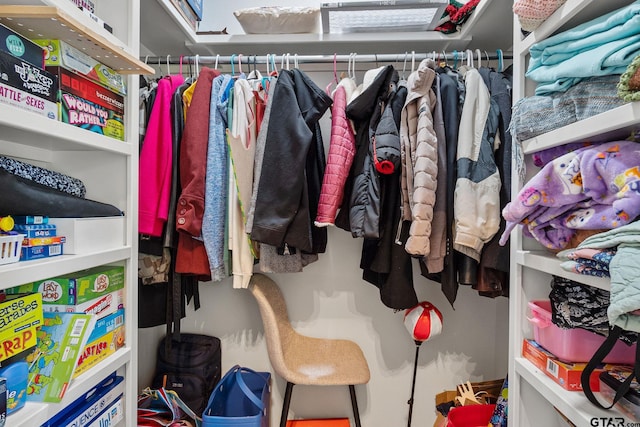 view of spacious closet