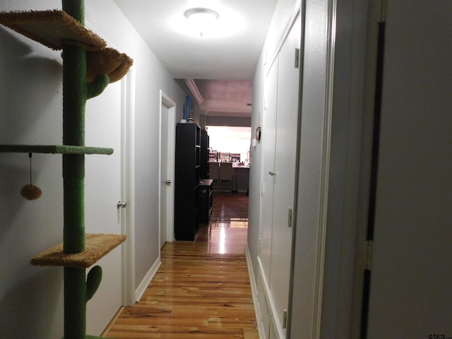 hallway with light wood-style floors and baseboards