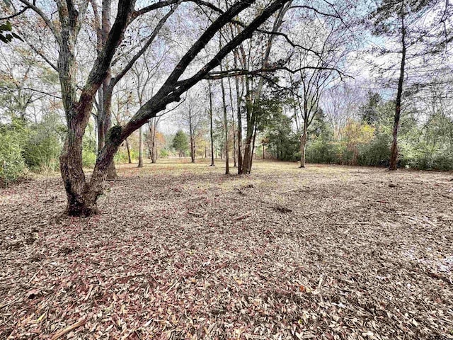 Listing photo 2 for TBD Lakeshore Dr, Lot, Jacksonville TX 75766