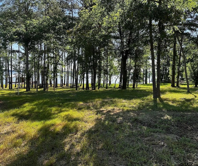 21581 Joe Paul Ln, Chandler, TX 75758 - photo 15