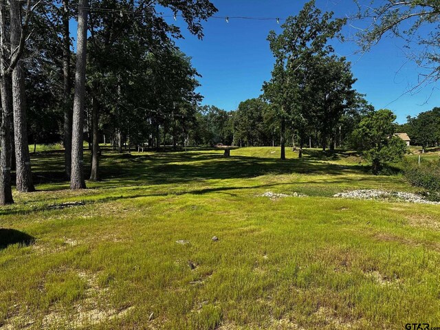 21581 Joe Paul Ln, Chandler, TX 75758 - photo 16