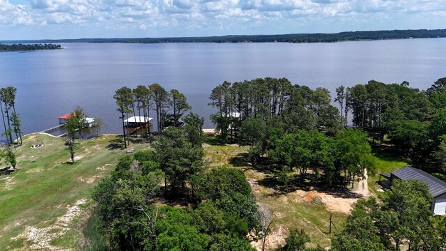 21581 Joe Paul Ln, Chandler, TX 75758 - photo 5