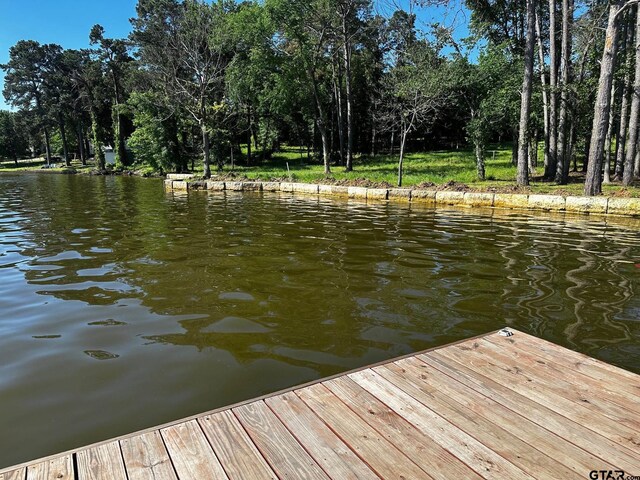 21581 Joe Paul Ln, Chandler, TX 75758 - photo 12