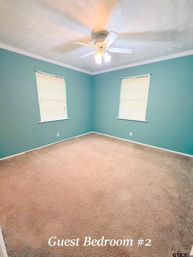 carpeted empty room with a wealth of natural light, ceiling fan, ornamental molding, and baseboards