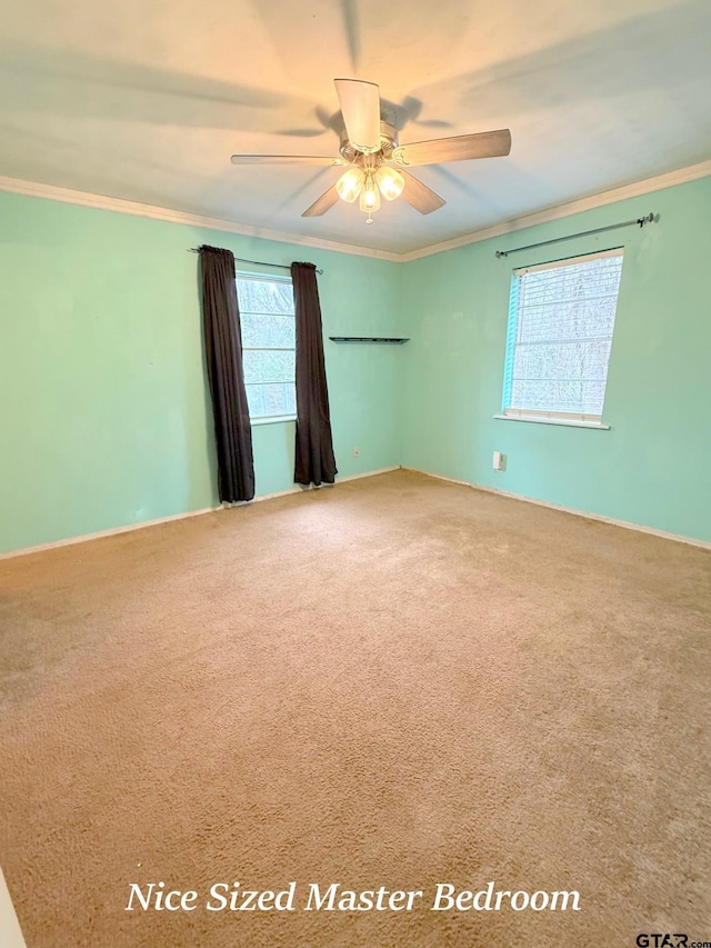 empty room with ceiling fan, ornamental molding, and carpet flooring