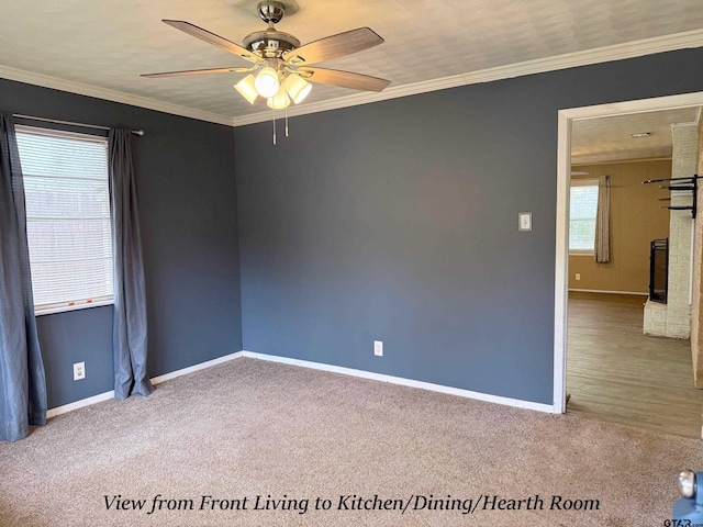 spare room with carpet, crown molding, baseboards, and ceiling fan