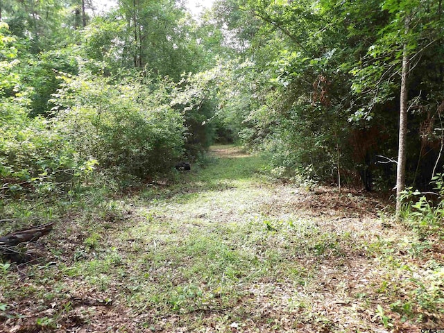 TBD Fsr 536, Kennard, TX 75847 - photo 8