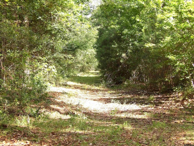 TBD Fsr 536, Kennard, TX 75847 - photo 13