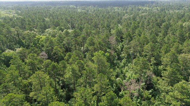 TBD Fsr 536, Kennard, TX 75847 - photo 21