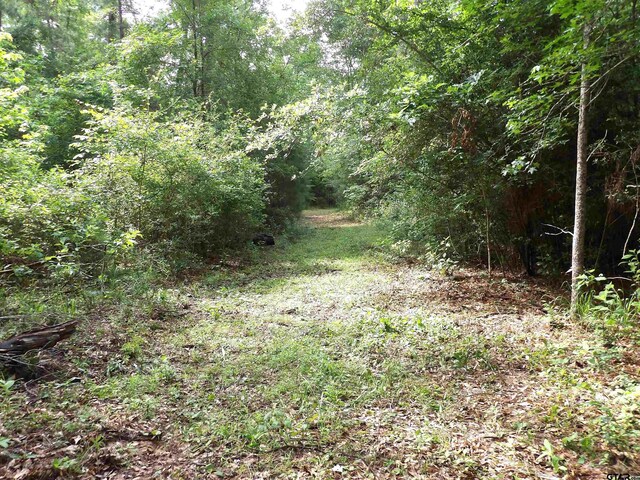 TBD Fsr 536, Kennard, TX 75847 - photo 11