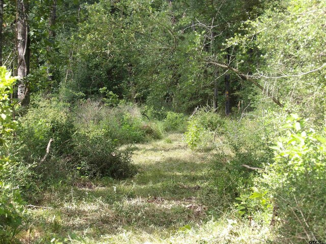 TBD Fsr 536, Kennard, TX 75847 - photo 6
