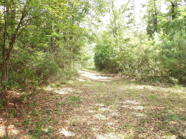 TBD Fsr 536, Kennard, TX 75847 - photo 12