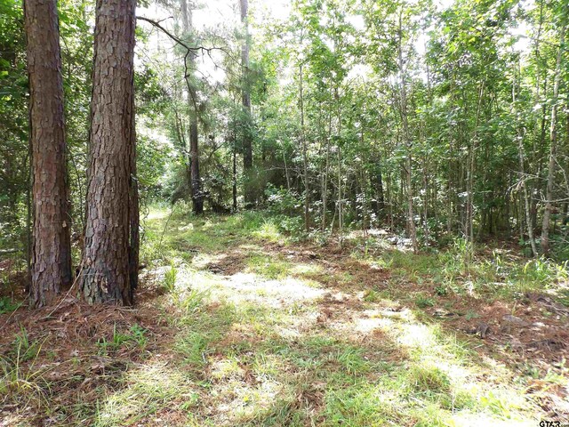 TBD Fsr 536, Kennard, TX 75847 - photo 1