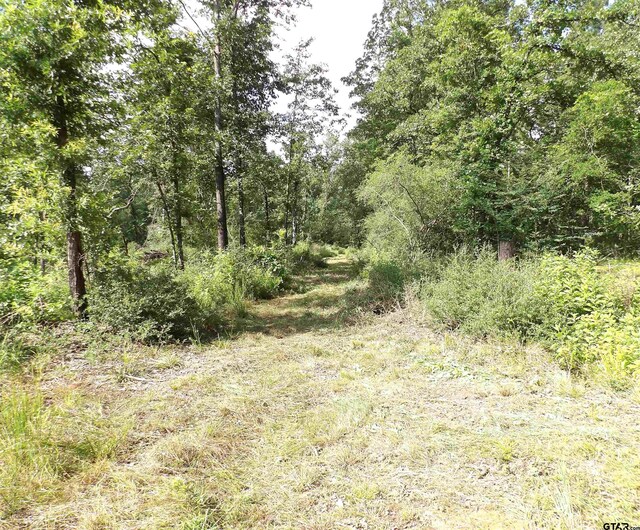 TBD Fsr 536, Kennard, TX 75847 - photo 5